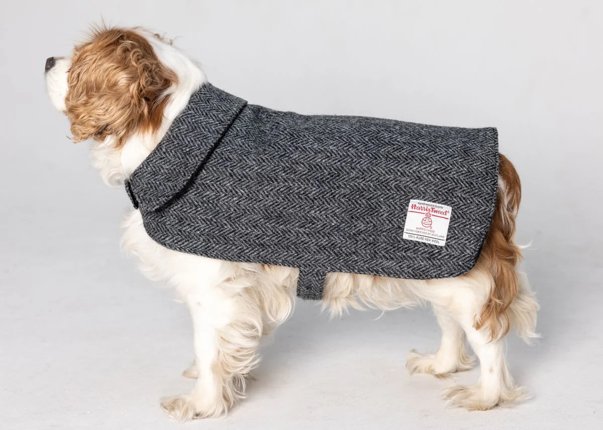 Harris Tweed Dog Coat - 8 Colours - Image 3