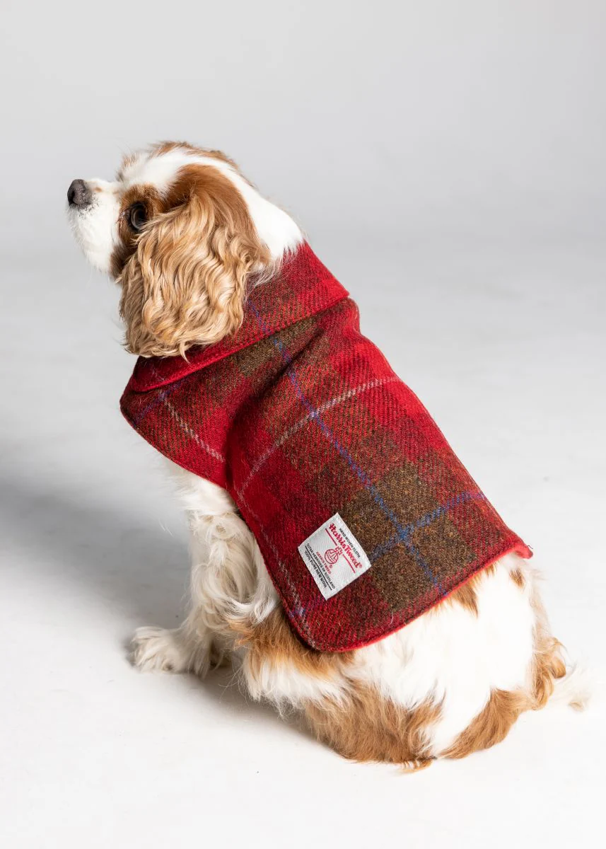 Harris Tweed Dog Coat - 8 Colours - Image 8